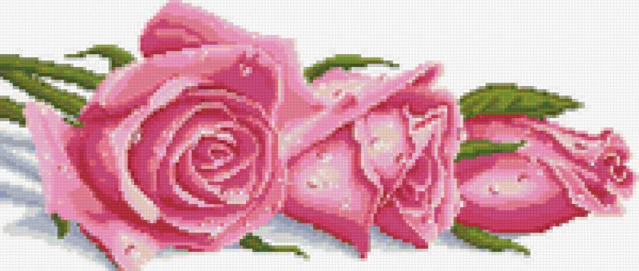 роза2 - цветы, роза - предпросмотр