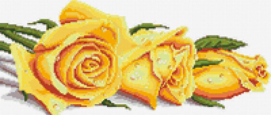 роза3 - цветы, роза - предпросмотр