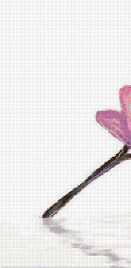 Цветы 1 - полиптих, цветы - предпросмотр