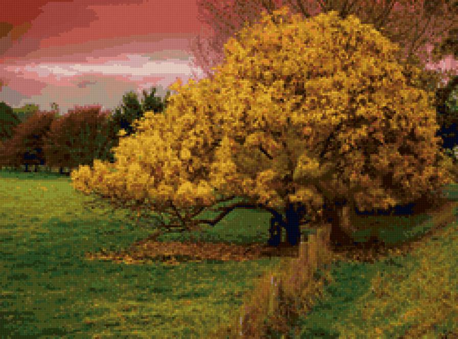 осень - пейзаж, осень, природа - предпросмотр