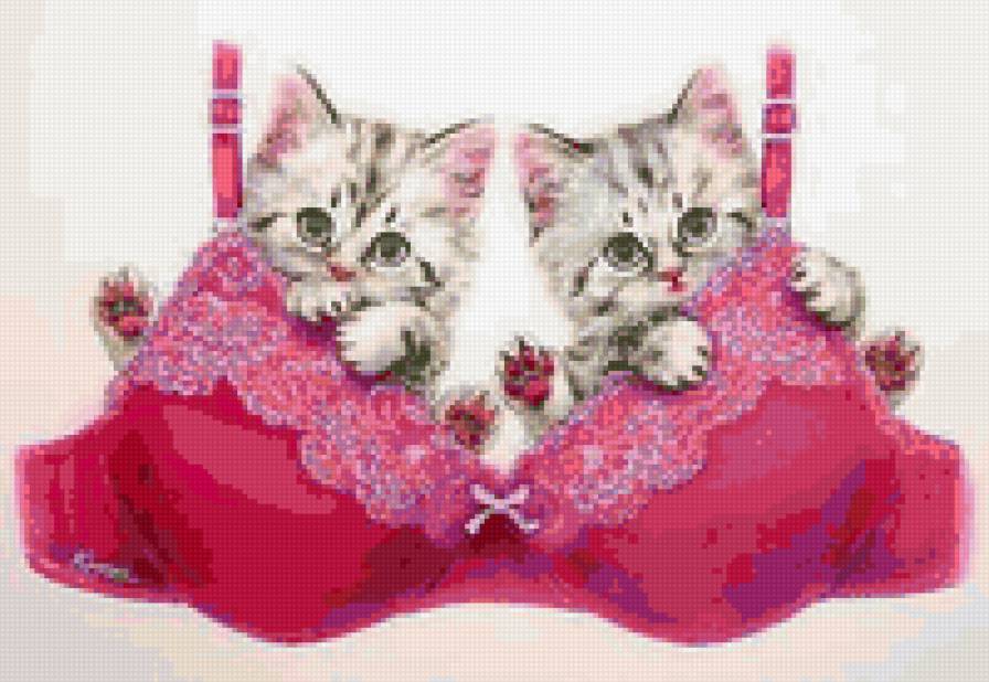 шалуны - кошка, животные, котята - предпросмотр