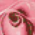 Предпросмотр схемы вышивки «Роза» (№50620)