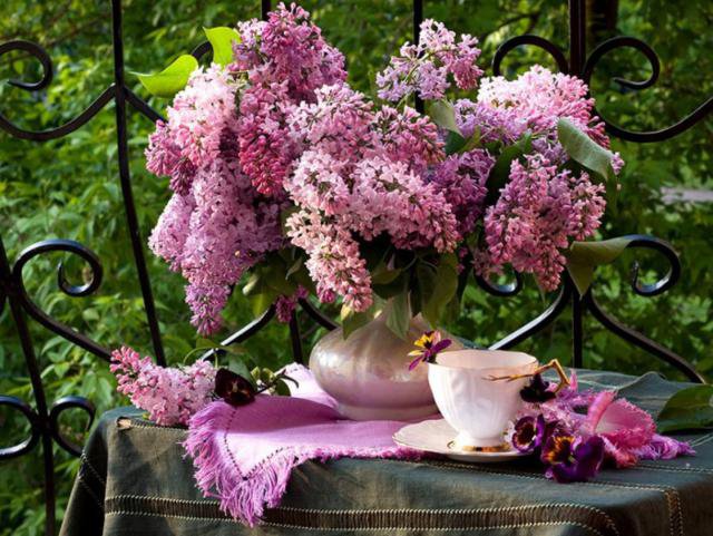 Букет сирени - сирень, букет, ваза - оригинал