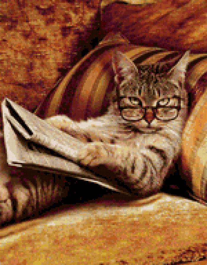 Умный кот - предпросмотр