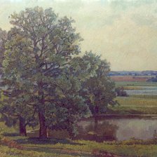 На берегу пруда