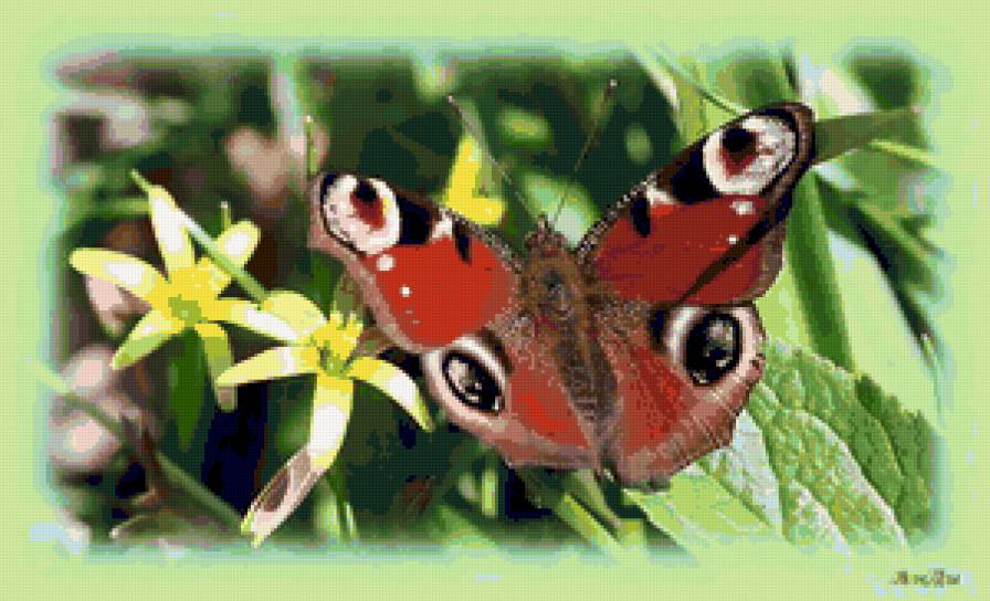 №50925 - предпросмотр