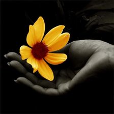 Схема вышивки «нежность»