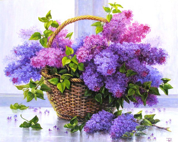 Душистая сирень - сирень, цветы, весенние цветы, душистая сирень - оригинал