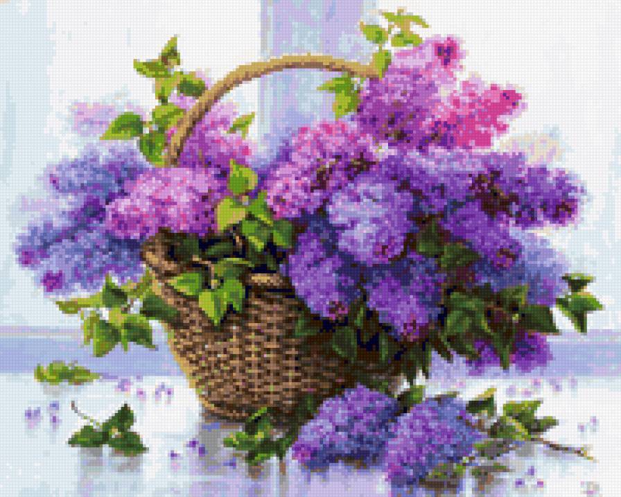 Душистая сирень - душистая сирень, цветы, сирень, весенние цветы - предпросмотр