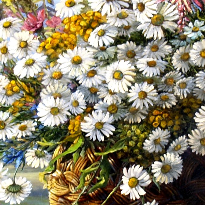 Ромашки и пижма - ромашки, букет, васильки, пижма, василек, цветы, ромашка - оригинал