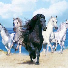 Схема вышивки «вожак»