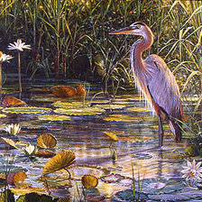 цапля в пруду