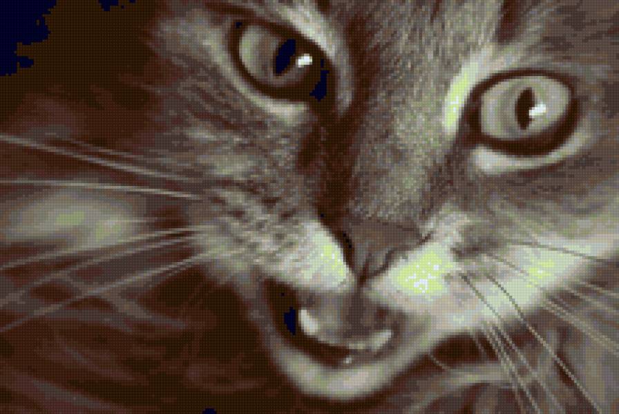 Кошка - кошки - предпросмотр