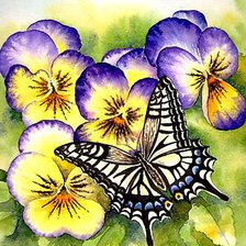 Схема вышивки «анютины глазки»