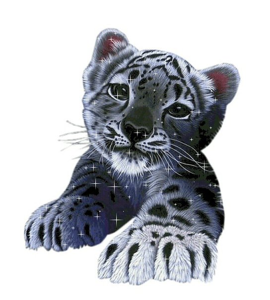 Тигренок - тигренок, живопись, животные - оригинал