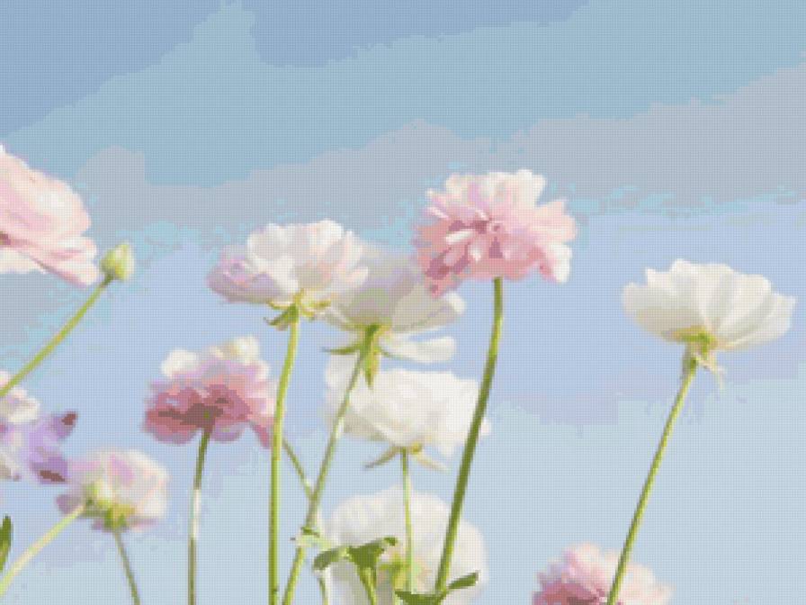 №52027 - предпросмотр