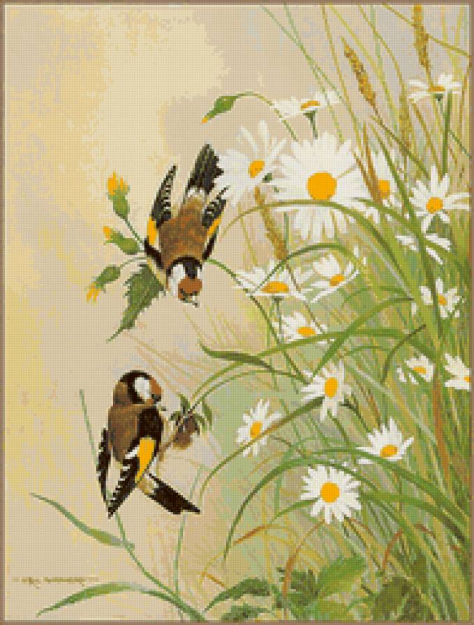 серия "птицы" - птицы.цветы.ромашки - предпросмотр