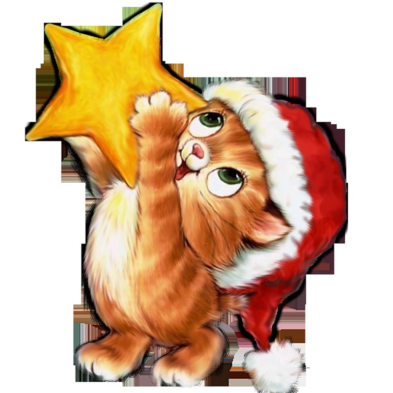 котёнок со звездой - мультик - оригинал