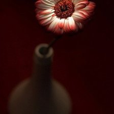 Схема вышивки «Красный цветок»