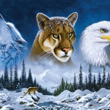 Схема вышивки «волк,пума,орёл»