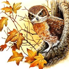 Схема вышивки «№52330»