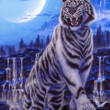 Схема вышивки «тигруля»