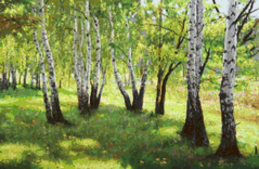 Березовая роща - березы - предпросмотр