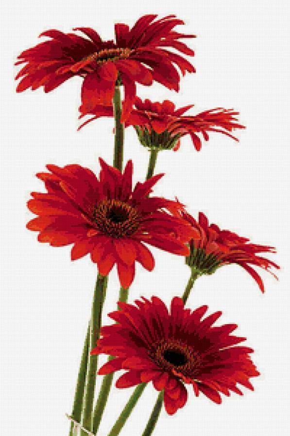 серия Цветы - цветы, природа - предпросмотр