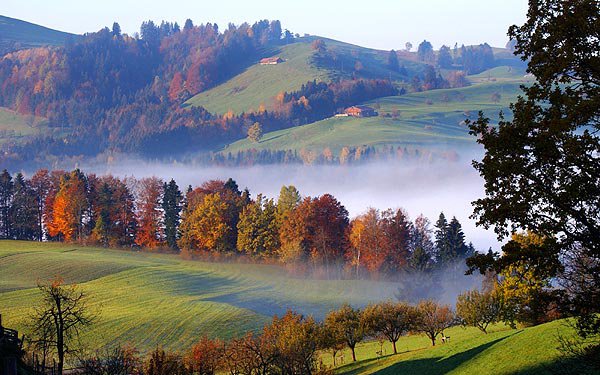 пейзаж - оригинал