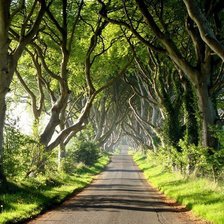 Схема вышивки «дорога»