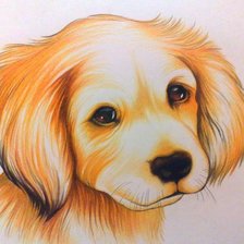 Схема вышивки «Собака»