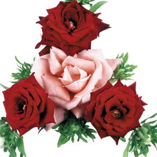 Схема вышивки «483»