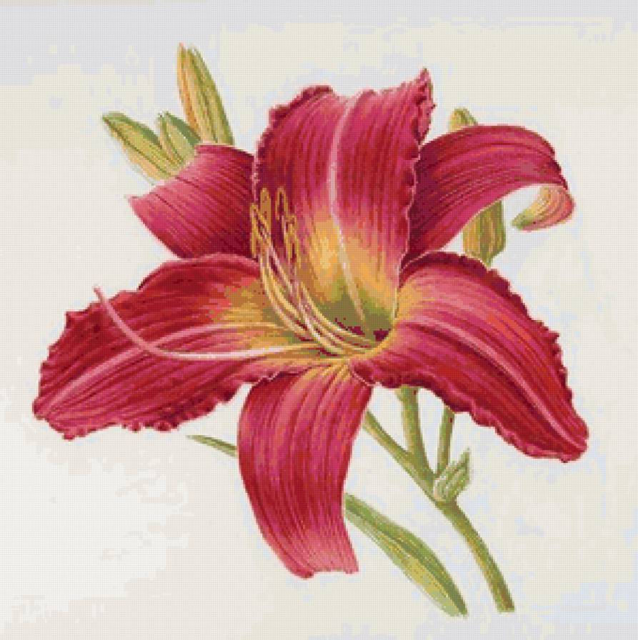 серия Цветы - цветы, подушка - предпросмотр