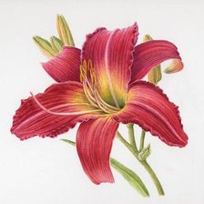 Схема вышивки «серия Цветы»