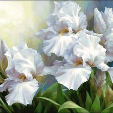 Схема вышивки «борода»