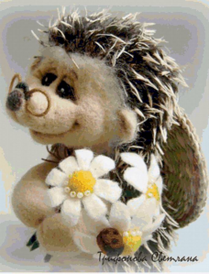 ежик - ромашки, любовь, ежик - предпросмотр