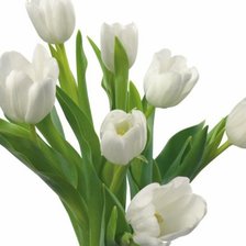 Схема вышивки «№53004»