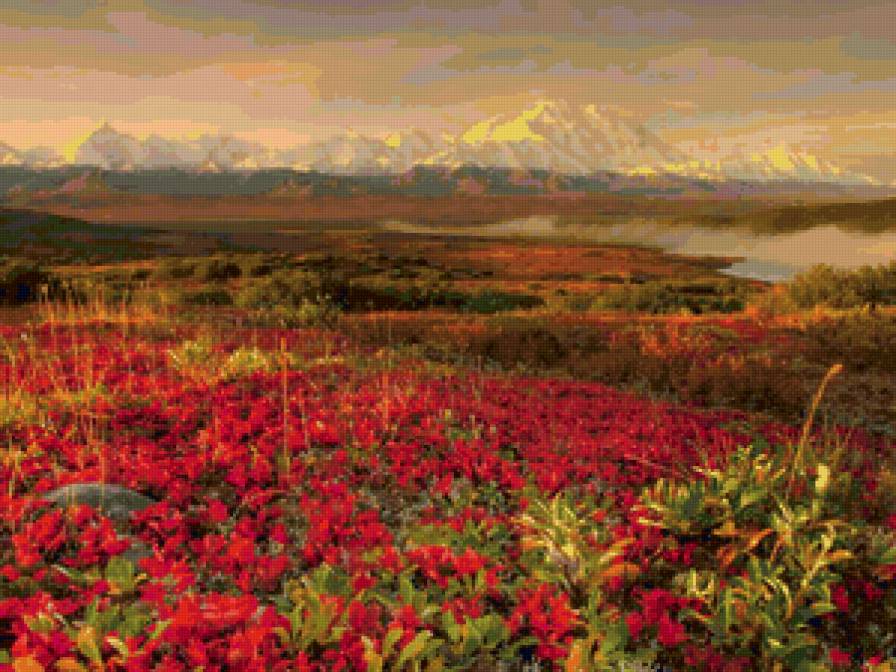 №53015 - предпросмотр