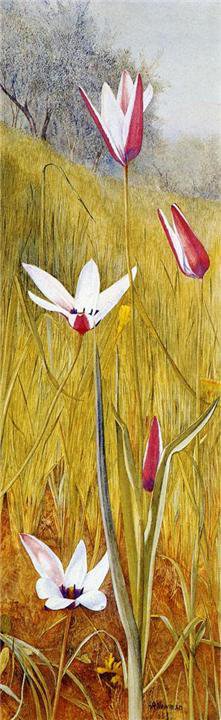 Цветы в пейзаже - живопись, пейзаж, цветы - оригинал