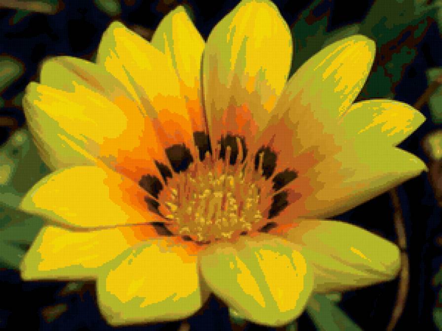 Жёлтый цветок макро - предпросмотр