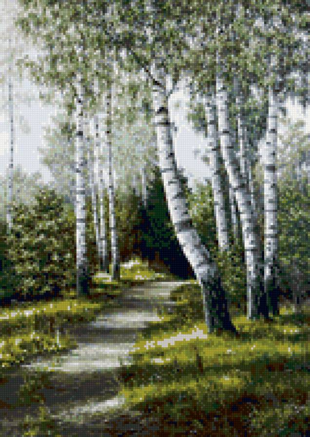 березовая роща - лес, природа, березы, пейзаж - предпросмотр