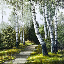 Схема вышивки «березовая роща»