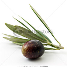 Схема вышивки «олива»