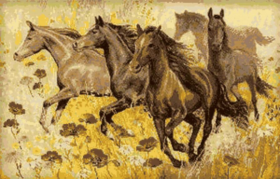 Табун - маки, лошади, табун - предпросмотр