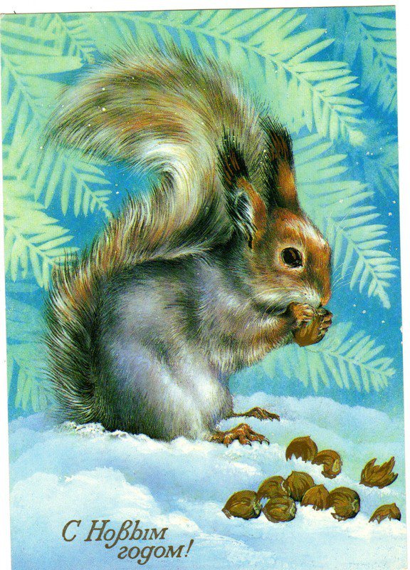 С новым годом! - в парке, белки - оригинал