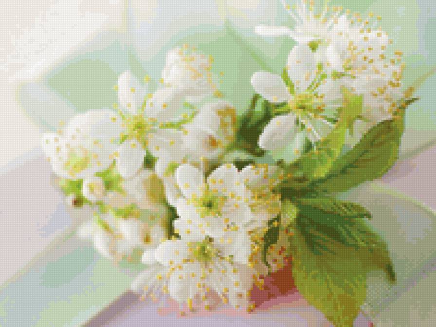 яблоневый цвет - ветка, цветы яблони, цветы - предпросмотр