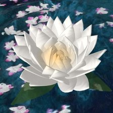 Лотос для подушки