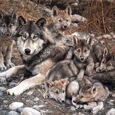 Схема вышивки «волки 3»