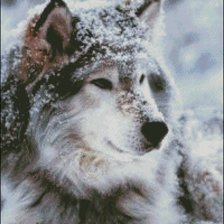 Схема вышивки «волки 6»