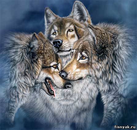 волки 8 - оригинал